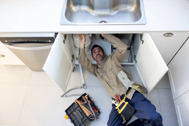 Best Commercial Plumbing Services  in Lake Holiday, IL