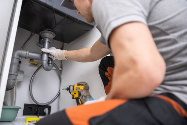 Best Affordable Plumber Near Me  in Lake Holiday, IL